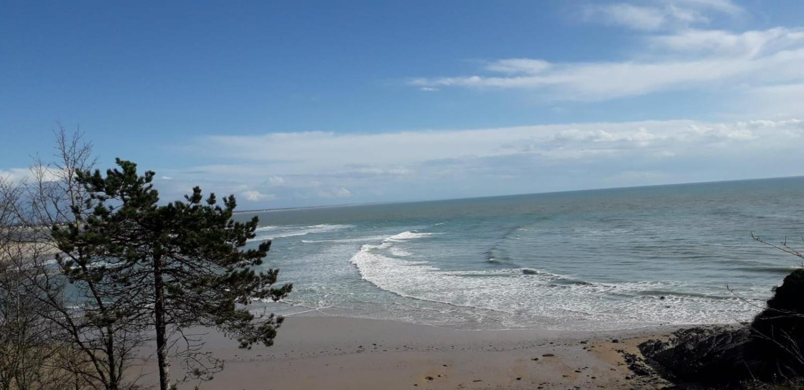 Les Sables D'Or - Joli T3 200M De La Plage Barneville-Carteret Εξωτερικό φωτογραφία